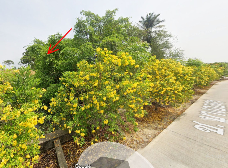 ขายที่ดินติดคลอง นครชัยศรี – ราคาพิเศษ