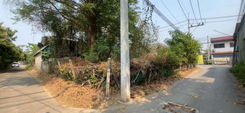ขายที่ดินทำเลดี ลำพูน