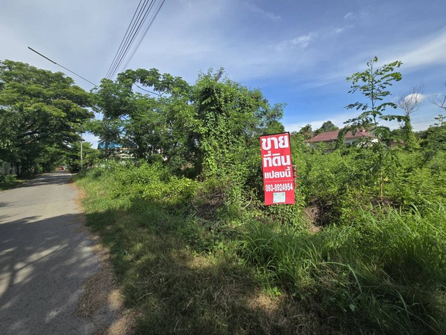 ขาย ที่ดินเปล่า 208.4 ตร.ว ทำเลดี คลองสาม ต.คลองหลวง ปทุมธานี แปลงสวย ใกล้วัดธรรมกาย