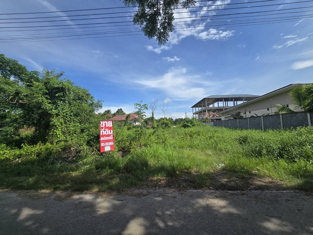 ขาย ที่ดินเปล่า 208.4 ตร.ว ทำเลดี คลองสาม ต.คลองหลวง ปทุมธานี แปลงสวย ใกล้วัดธรรมกาย