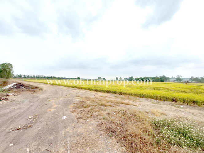 ที่ดิน ถนน3111 อ.บางไทร จ.อยุธยา