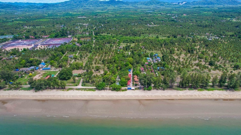 ขายที่ดินเปล่าใกล้ทะเล 600ตรว ใกล้หาดซันไรซ์บีช สำหรับบ้านพักและรีสอร์ท บางสะพาน ประจวบคีรีขันธ์.