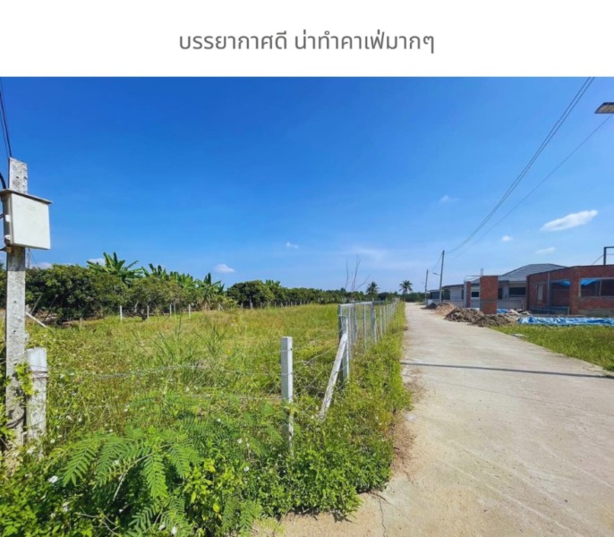 ขายถูกมาก!! ที่ดินติดถนน 2 ด้าน ทำเลทอง อ.สารภี จ.เชียงใหม่ ใกล้ห้าง สนามบิน ตลาด โรงเรียน โรงพยาบาลฯ