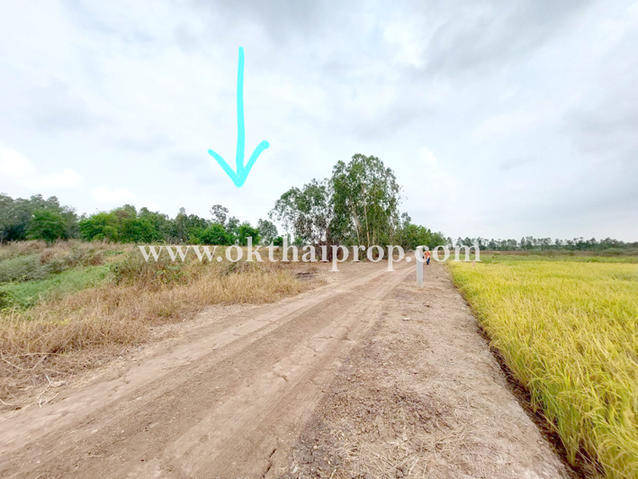 ที่ดิน ถนน3111 บางไทร อยุธยา