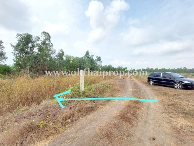 ที่ดิน ถนน3111 บางไทร อยุธยา