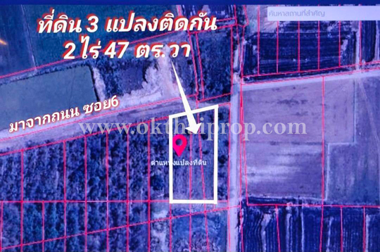 ที่ดิน ถนน3111 บางไทร อยุธยา