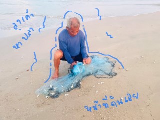 ที่ติดทะเลหายาก ติดหาดยาว 47 +20 เมตร1ไร่ 24วา ขาย 3 ล.