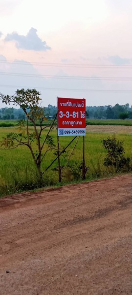 ที่ดิน เมืองร้อยเอ็ด 3 ไร่ 3 งาน 81 ตรว. ใกล้เมือง ทำเลดี บรรยากาศเงียบสงบ