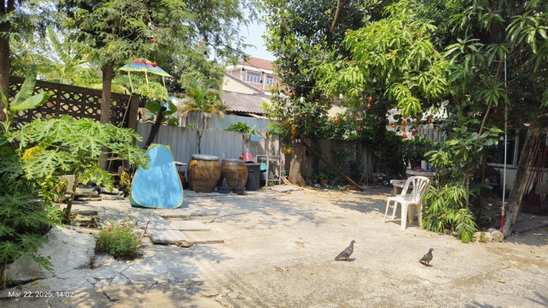 บ้านถนนลาดพร้าวซอย 41 ใกล้รถไฟฟ้าสายสีเหลือง