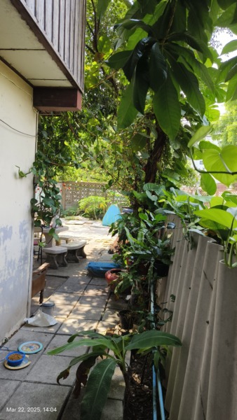 บ้านถนนลาดพร้าวซอย 41 ใกล้รถไฟฟ้าสายสีเหลือง
