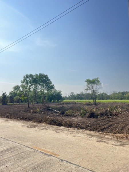 ขายที่ดิน 2 ไร่ พิกัด คลองหก อำเภอคลองหลวง ปทุมธานี