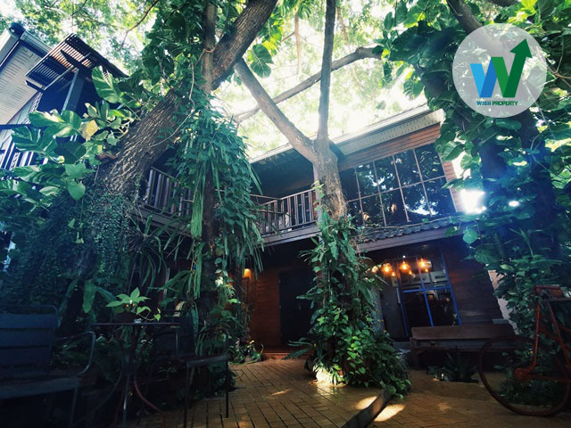 ที่ดินพร้อมสิ่งปลูกสร้าง บ้านเดี่ยว เมืองลำปาง พร้อมกิจการร้านกาแฟ ย่านสุขสวัสดิ์ จากถนนซุปเปอร์ไม่ถึง 1 นาที ด่วนมาก!!